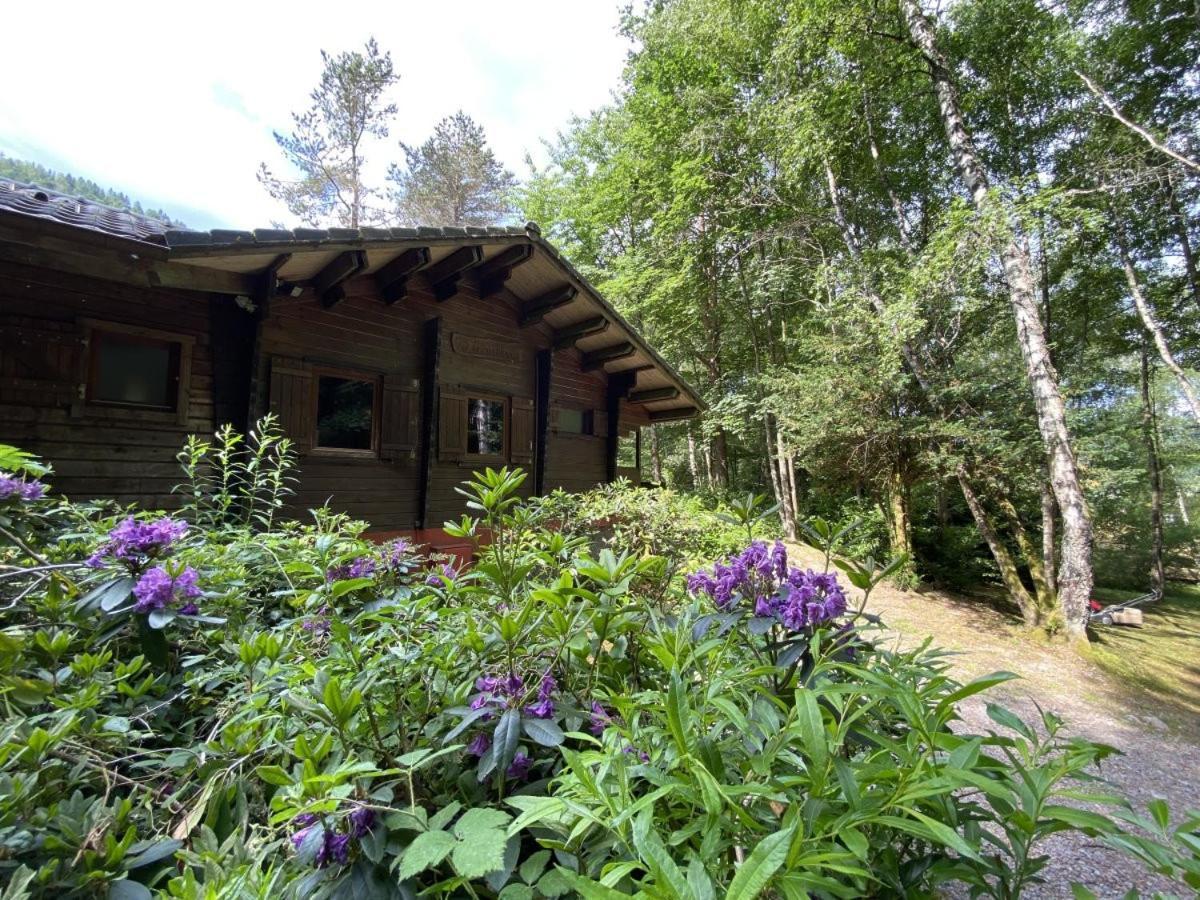 Le Fishing Lodge Chalet En Bois Avec Bain Nordique Ла-Бресс Экстерьер фото